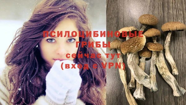 герыч Балахна
