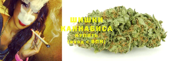 шишки Баксан