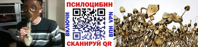 Галлюциногенные грибы Psilocybe  закладки  Черноголовка 